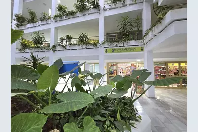 Av Gamonal10 Torre2 Av Gamonal10 Torre2 Benalmadena #901, Almont, CO  - Photo 23