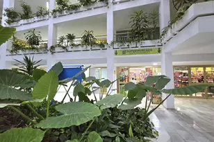 Av Gamonal10 Torre2 Benalmadena Malaga Unit, Almont, CO - Photo 23