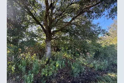 14928 NW 260th St, Basinger, FL 34972 - Photo 1