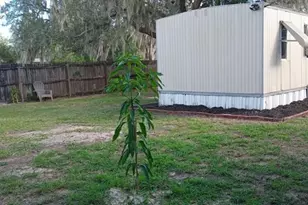 4510 Granada Ave, Sebring, FL 33870 - Photo 23