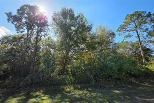 685 N Willow St, Clewiston, FL 33440 - Photo 15