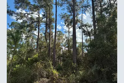 Lot 15, Block 75  Park Ave, Indian Lake Estates, FL 33855 - Photo 1