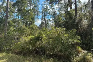 Lot 15 Block 75 Park Ave, Indian Lake Estates, FL 33855 - Photo 3