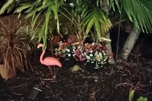 2611 NE 53rd St, Lighthouse Point, FL 33064 - Photo 55