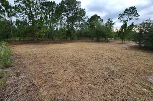 2925 W Bandra Rd, Avon Park, FL 33825 - Photo 3