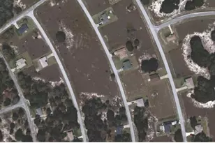 Tbd Lotus Pass Crse, Ocala, FL 34472 - Photo 3