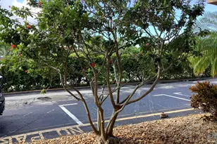 2300 NE 1st Ln, Boynton Beach, FL 33435 - Photo 27