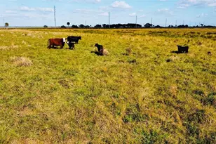 Hwy 441N Hwy 441, Okeechobee, FL 34972 - Photo 35