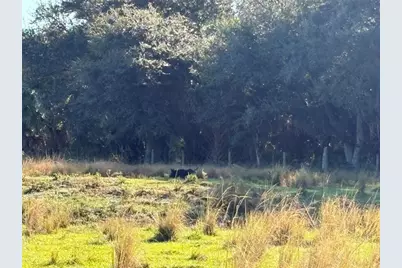 Hwy 441N  Hwy 441, Okeechobee, FL 34972 - Photo 43