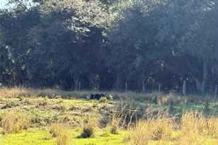 Hwy 441N Hwy 441, Okeechobee, FL 34972 - Photo 43