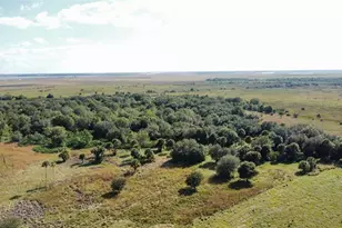 Hwy 441N Hwy 441, Okeechobee, FL 34972 - Photo 17