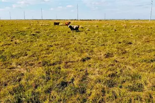 Hwy 441N Hwy 441, Okeechobee, FL 34972 - Photo 13