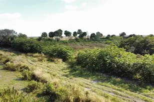 Hwy 441N Hwy 441, Okeechobee, FL 34972 - Photo 19