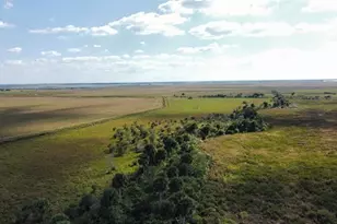 Hwy 441N Hwy 441, Okeechobee, FL 34972 - Photo 37