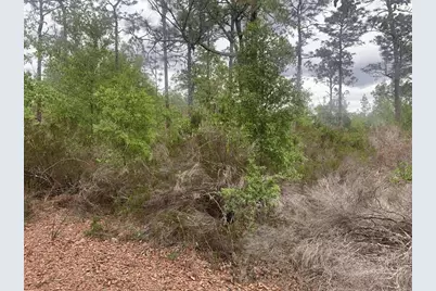 0  Somerset Ave, Interlachen, FL 32148 - Photo 1