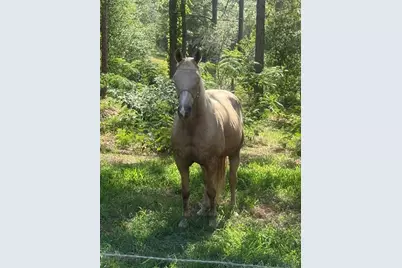 3050 E Possum Ct, Inverness, FL 34452 - Photo 55