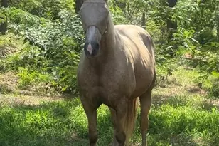 3050 E Possum Ct, Inverness, FL 34452 - Photo 55