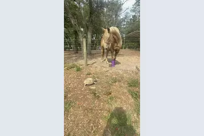 3050 E Possum Ct, Inverness, FL 34452 - Photo 57