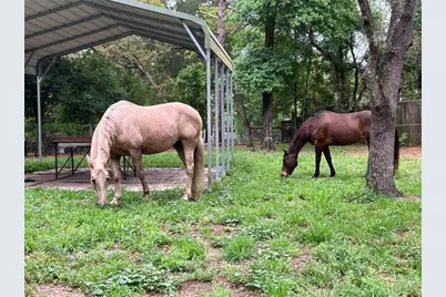 3050 E Possum Ct, Inverness, FL 34452 - Photo 59