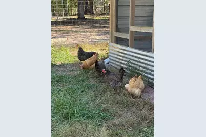 3050 E Possum Ct, Inverness, FL 34452 - Photo 65