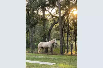 3050 E Possum Ct, Inverness, FL 34452 - Photo 61