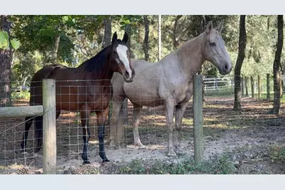 3050 E Possum Ct, Inverness, FL 34452 - Photo 47