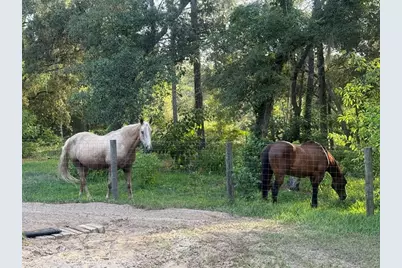 3050 E Possum Ct, Inverness, FL 34452 - Photo 53