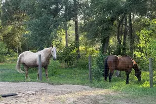 3050 E Possum Ct, Inverness, FL 34452 - Photo 53