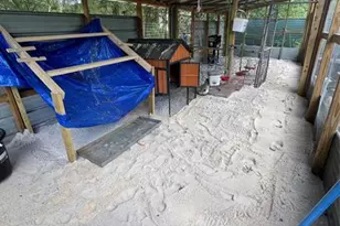 3050 E Possum Ct, Inverness, FL 34452 - Photo 71