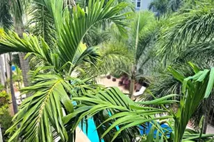 533 NE 3rd Ave, Fort Lauderdale, FL 33301 - Photo 23