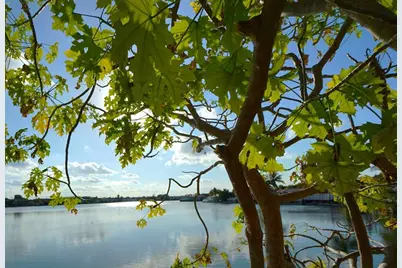 6380 W 24th Ct, Hialeah, FL 33016 - Photo 21