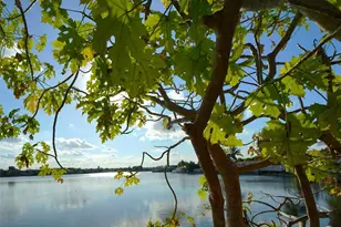 6380 W 24th Ct, Hialeah, FL 33016 - Photo 21