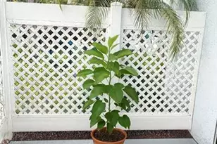 9778 Nickels Blvd, Boynton Beach, FL 33436 - Photo 9