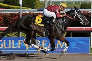 200 NE 14th Ave Unit, Hallandale Beach, FL 33009 - Photo 15