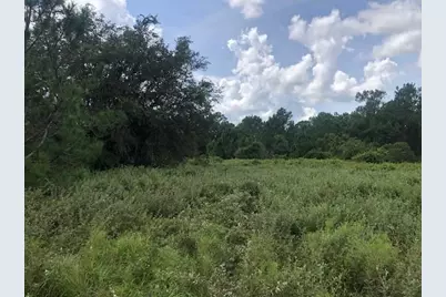 0  Old Grade Rd, Other City - In The State Of Florida, FL 33868 - Photo 1