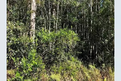 0  Old Grade Rd, Other City - In The State Of Florida, FL 33868 - Photo 3