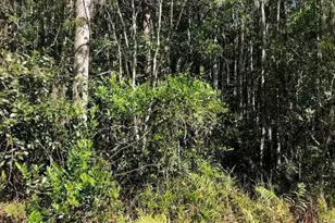 0 Old Grade Rd, Other City - In The State Of Florida, FL 33868 - Photo 3