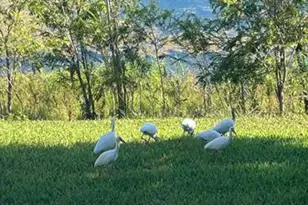 3405 NW 44th St, Lauderdale Lakes, FL 33309 - Photo 7