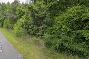 291 SW Pine Forest Ct, Lake City, FL 32024 - Photo 3