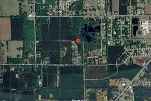 291 SW Pine Forest Ct, Lake City, FL 32024 - Photo 9