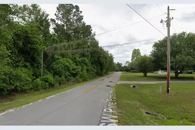 291 SW Pine Forest Court, Lake City, FL 32024 - Photo 5