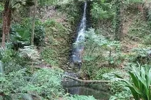 Lot1 SW 158th Ct, Ocala, FL 34481 - Photo 5