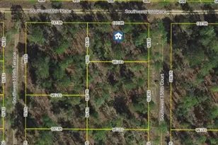 Lot1 SW 158th Ct, Ocala, FL 34481 - Photo 3