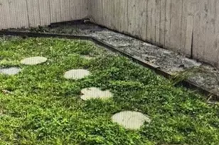 [Address not provided], Hollywood, FL 33024 - Photo 13