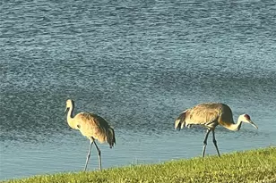 12306 SW Nettuno Way, Port Saint Lucie, FL 34987 - Photo 47