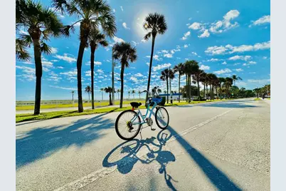 3220  Oleander Way, Lauderdale by the Sea, FL 33062 - Photo 41