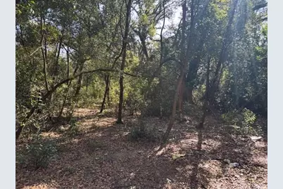 0  County Rd 54 E, Kathleen, FL 33849 - Photo 1