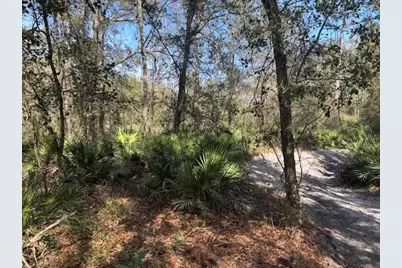 0  County Rd 54 E, Kathleen, FL 33849 - Photo 1