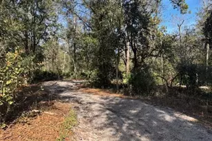 0 County Rd 54 E, Kathleen, FL 33849 - Photo 3