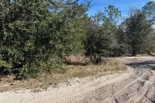 0 County Rd 54 E, Kathleen, FL 33849 - Photo 3